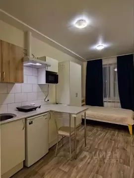 Студия Санкт-Петербург Московский просп., 102 (17.0 м)