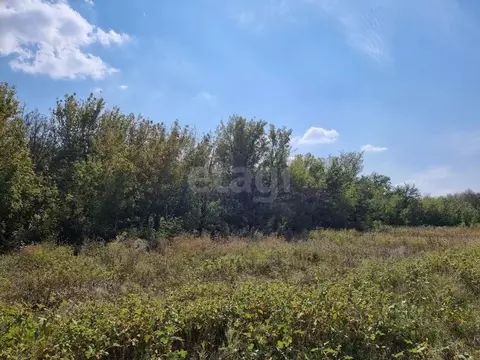 Участок в Ростовская область, Мясниковский район, Красный Крым хут. ...