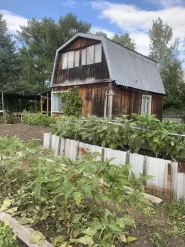 Дом в Хабаровский край, Комсомольский район, Восход СНТ ул. Липовая, ...