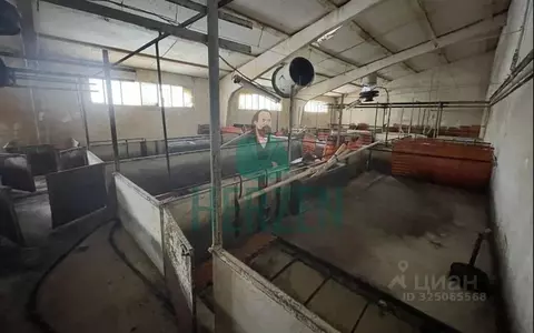 Склад в Москва д. Кузнецово,  (36000 м)