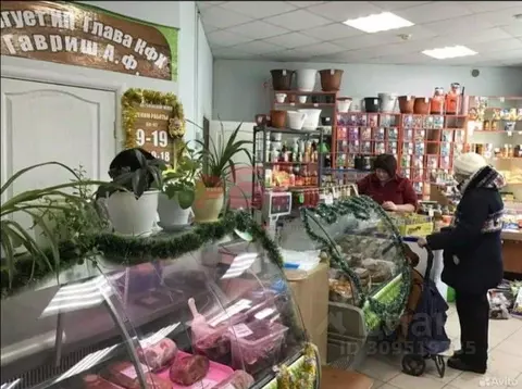 Торговая площадь в Курганская область, Курган Пролетарская ул., 40 (60 ...