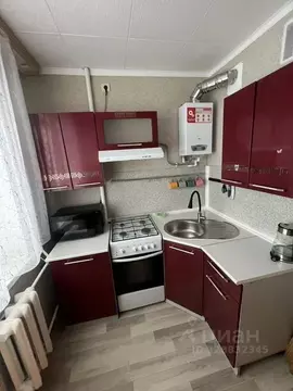 1-к кв. Московская область, Ногинск Богородский городской округ, ул. ...