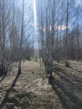 Продается участок в д. Удино