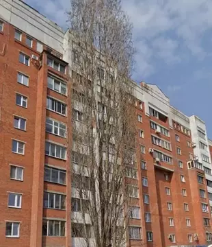 3-к кв. Воронежская область, Воронеж Московский просп., 119 (81.1 м)