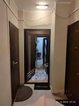 1-к кв. Московская область, Лосино-Петровский городской округ, ...