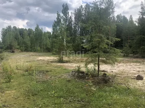 Участок в Ленинградская область, Киришский район, Пчевжинское с/пос, ...