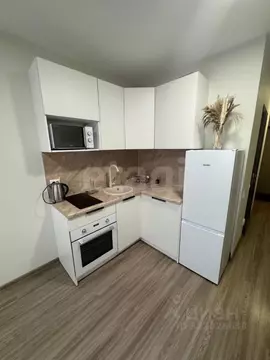 Студия Санкт-Петербург пос. Парголово, Заречная ул., 54 (20.0 м)