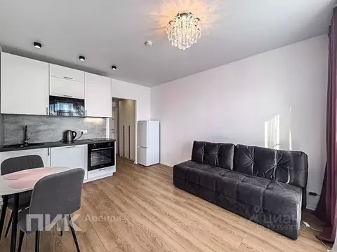 Студия Москва ул. Трехполье, 6к1 (20.0 м)