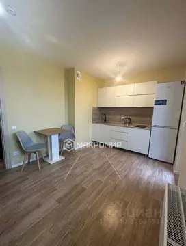 Студия Санкт-Петербург ул. Чарушинская, 24к1 (19.9 м)