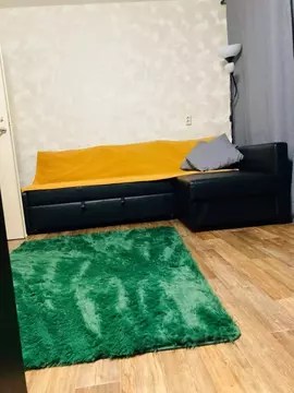 1-к кв. Нижегородская область, Нижний Новгород ул. Имени Генерала И.Д. ...