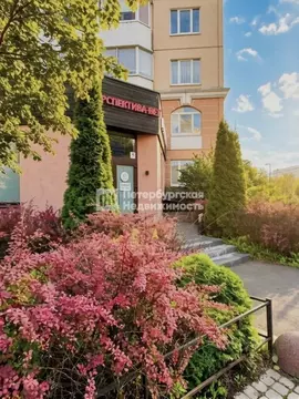 3-к кв. Санкт-Петербург ул. Тельмана, 49 (89.0 м)