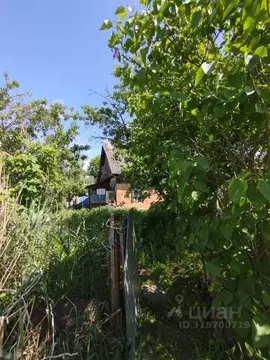 Участок в Брянская область, Брянск Рассвет садовое общество, 223А ...