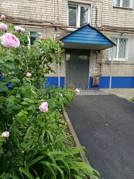 3-комнатная квартира: Балаково, улица Факел Социализма, 13А (50.8 м)