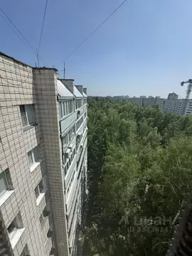 3-к кв. Алтайский край, Барнаул ул. 50 лет СССР, 16 (73.6 м)
