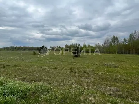 Участок в Тюменская область, Нижнетавдинский район, Ключевское с/пос, ...