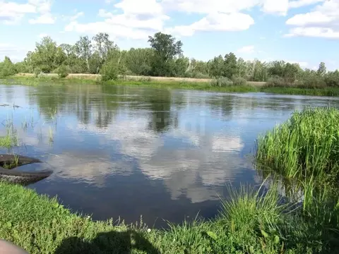 Дом в Челябинская область, Сосновский муниципальный округ, с. ...