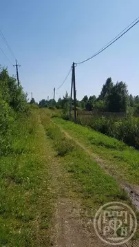 Участок в Ленинградская область, Лужский район, пос. Мшинская  (10.0 ...