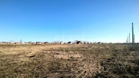 Участок в Костромская область, Кострома Соколиное Гнездо кп, 1 (9.73 ...
