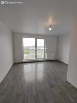 Квартира-студия: Челябинск, улица Блюхера, 125В (24.38 м)