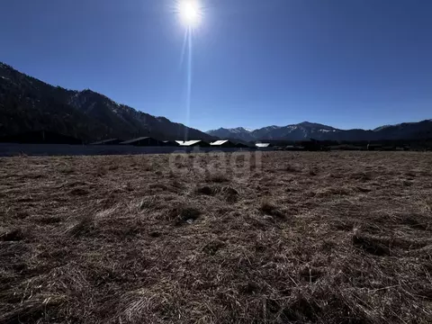 Участок в Алтай, Чемальский район, с. Чепош, Заречье ДНТ  (10.0 сот.)