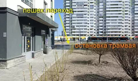 Помещение свободного назначения в Санкт-Петербург пос. Шушары, просп. ...