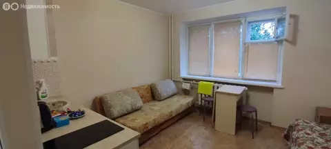 Квартира-студия: Екатеринбург, улица Фурманова, 60 (18.5 м)
