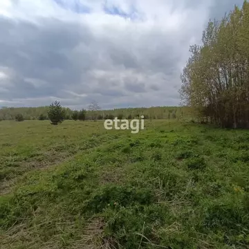 Участок в Владимирская область, Петушинский район, Пекшинское ...