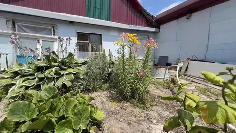 Дом в Сахалинская область, Южно-Сахалинск ул. Имени 1905 года, 93 (67 ...