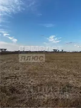 Участок в Крым, Сакский район, с. Штормовое  (6.0 сот.)