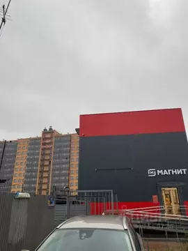 Помещение свободного назначения в Ленинградская область, Всеволожский ...