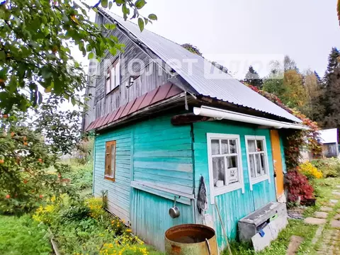 Дом в Вологодская область, Шекснинский муниципальный округ, Балтика ...