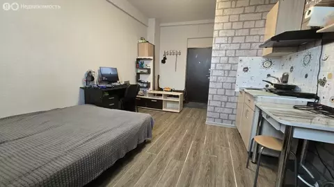 Квартира-студия: Ижевск, Удмуртская улица, 235 (18.7 м)