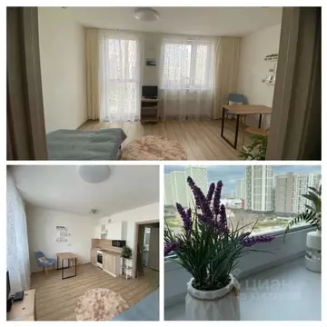 Студия Свердловская область, Екатеринбург ул. Академика Парина, 45 ...