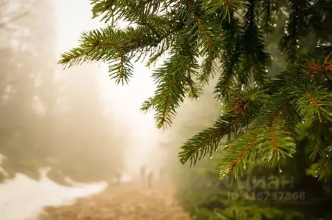 Участок в Тверская область, Конаковский муниципальный округ, ...