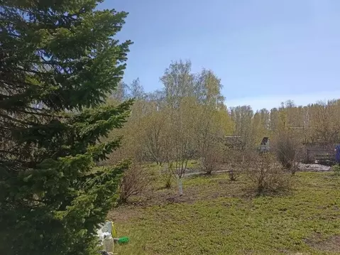 Участок в Красноярский край, Емельяновский муниципальный округ, Сухая ...