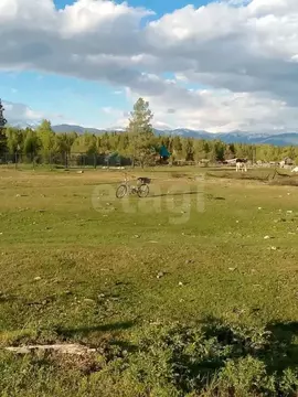 Участок в Алтай, Усть-Коксинский район, с. Верх-Уймон Заречная ул., 15 ...