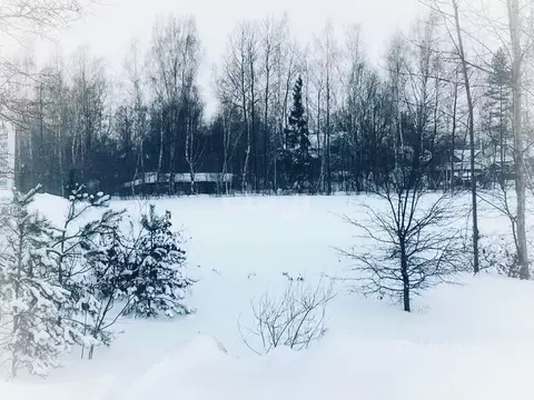 Участок в Калужская область, Калуга Секиотовская ул. (6.52 сот.)