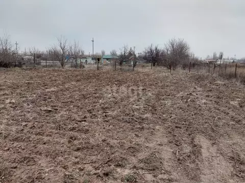 Участок в Волгоградская область, Среднеахтубинский район, Клетское ...
