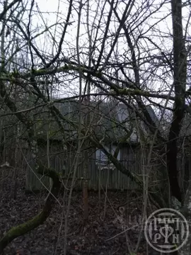 Дом в Ленинградская область, Лужский район, Володарское с/пос, д. ...