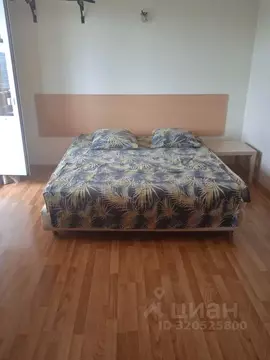 1-к кв. Свердловская область, Екатеринбург ул. Автомагистральная, 33 ...