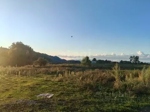 Участок в Алтайский край, Алтайский район, пос. Катунь  (15.0 сот.)