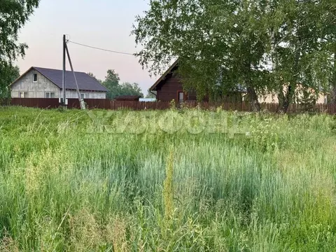 Участок в Томская область, Томский район, с. Калтай Новая ул. (9.76 ...