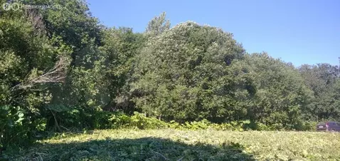 Участок в Волосовский район, Большеврудское сельское поселение, ...