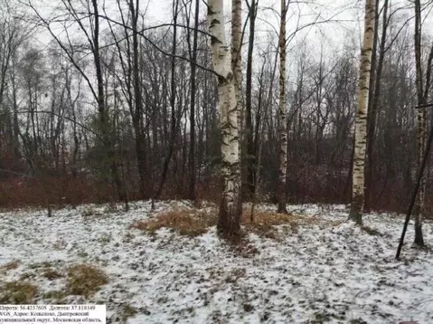 Участок в Московская область, Дмитровский муниципальный округ, д. ...