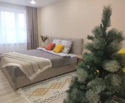 1-к кв. Псковская область, Псков Народная ул., 13 (38.0 м)