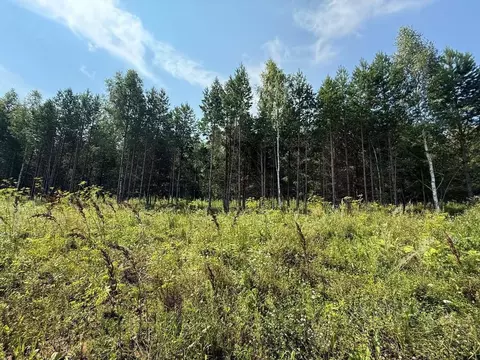 Участок в Свердловская область, Белоярский муниципальный округ, с. ...