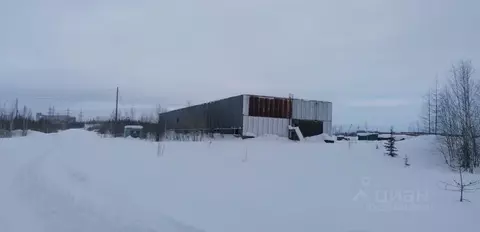 Помещение свободного назначения в Красноярский край, Туруханский ...