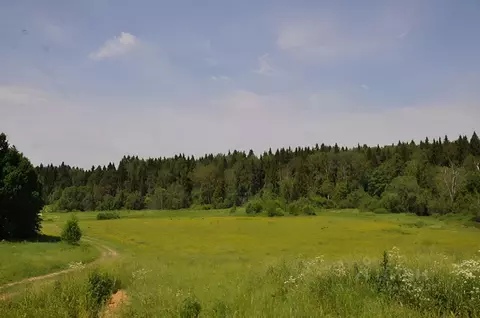 Участок в Московская область, Рузский муниципальный округ, д. Таганово ...