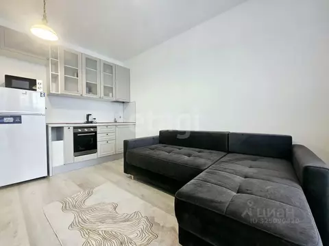 Студия Санкт-Петербург Фарфоровская ул., 7к1 (26.0 м)