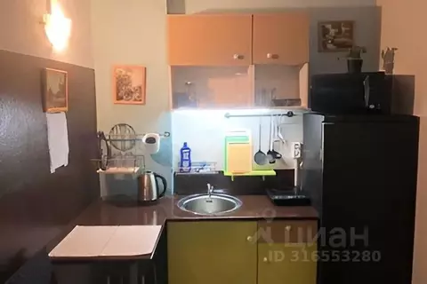 1-к кв. Московская область, Электроугли Богородский городской округ, ...